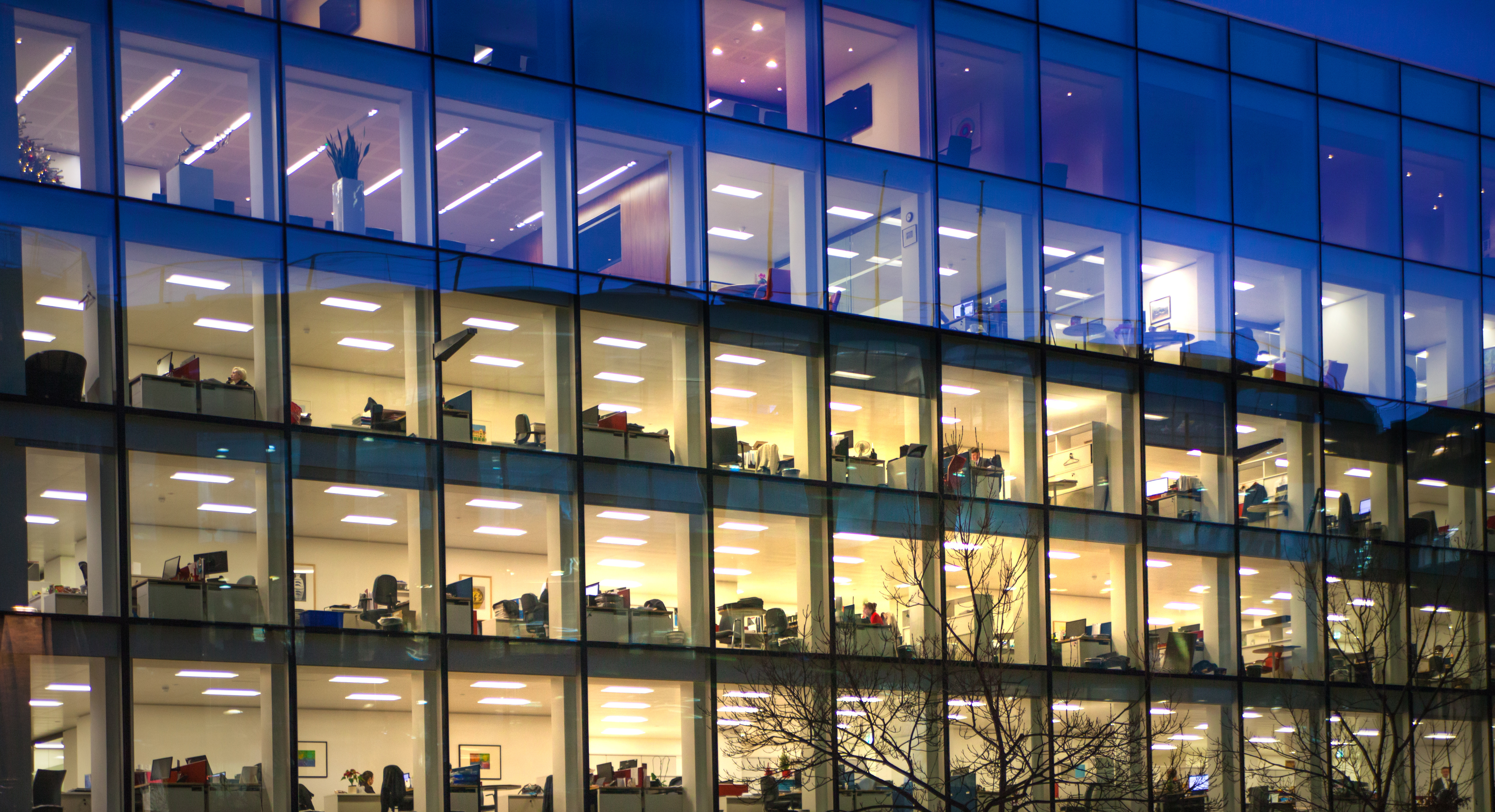An image of office workers at work in the night sky